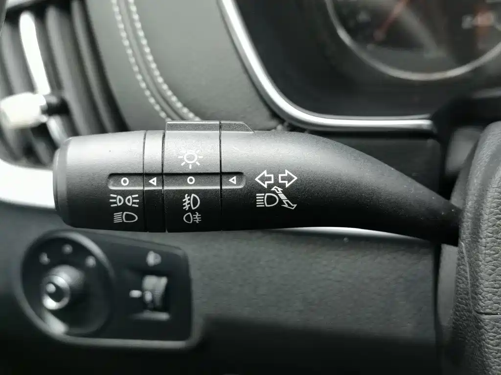 Фото 21 - Roewe RX5
