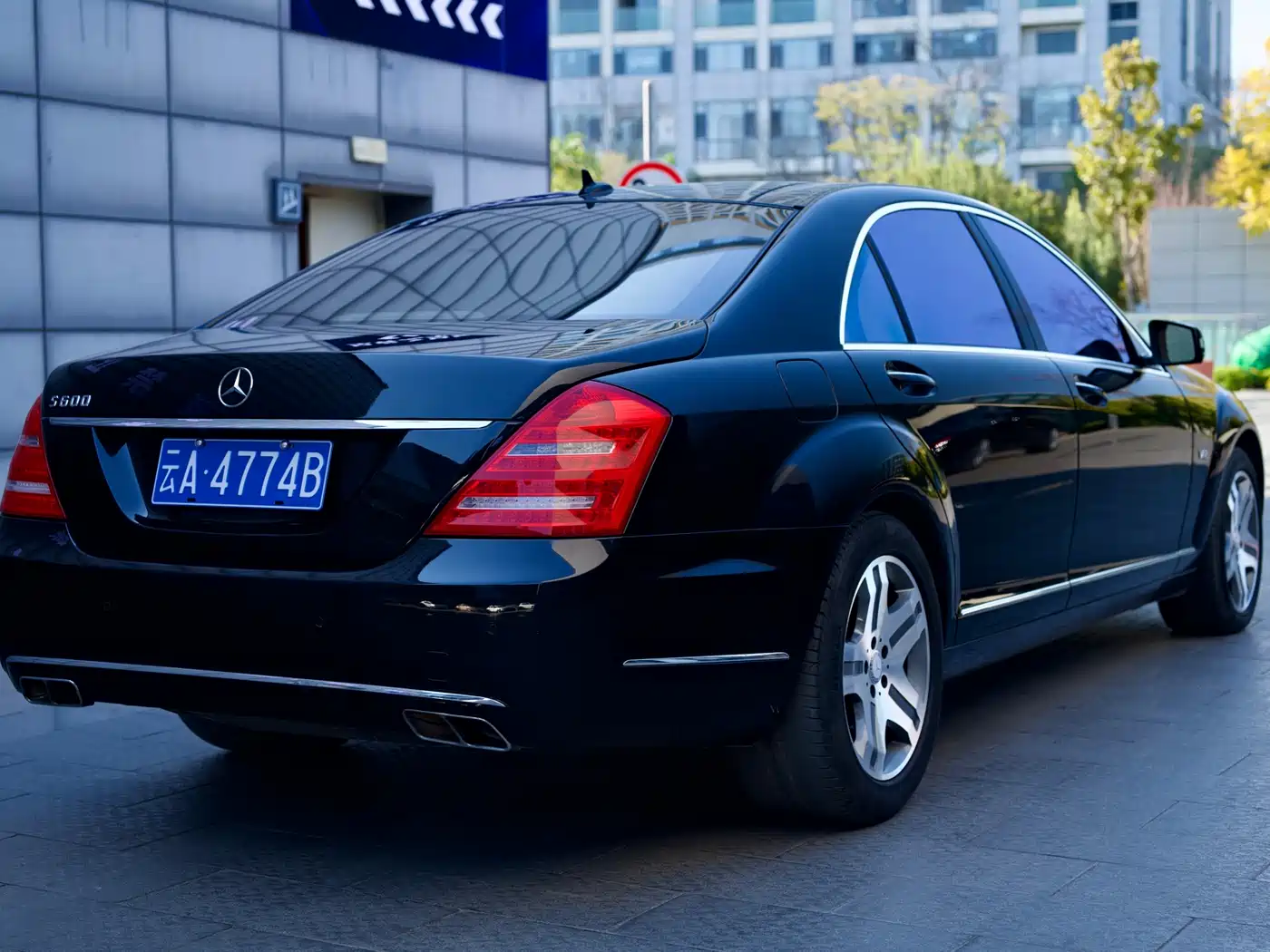 Mercedes-Benz S-Class 2010 S 600 L фото 7
