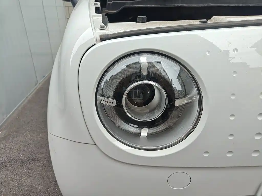 Ora Black Cat 2020 2021 351km Luxury Model