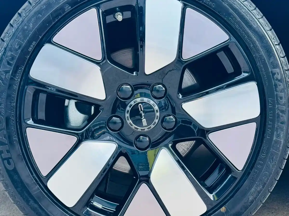 BYD Dolphin 2021 2021 401km Knight Edition