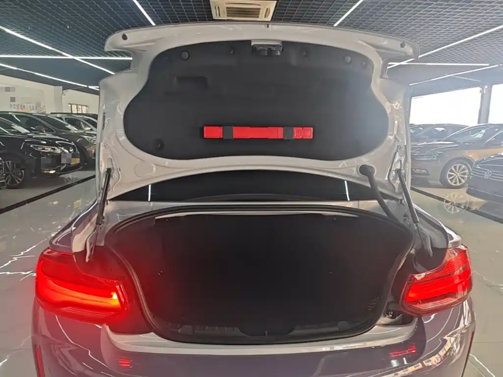 BMW M2 2019 2018 M2 Thunder Edition