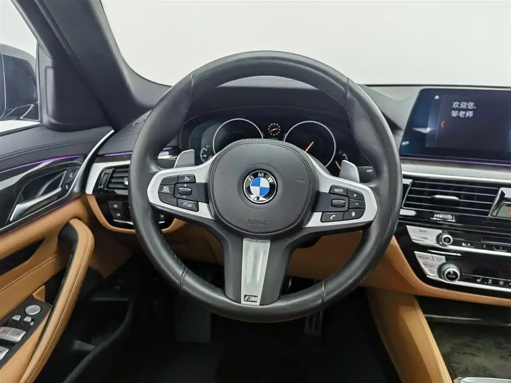 BMW 5 Series 2019 530Li Leading M Sport Package фото 11