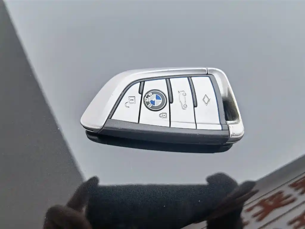 BMW 5 Series 2019 530Li Leading M Sport Package фото 19