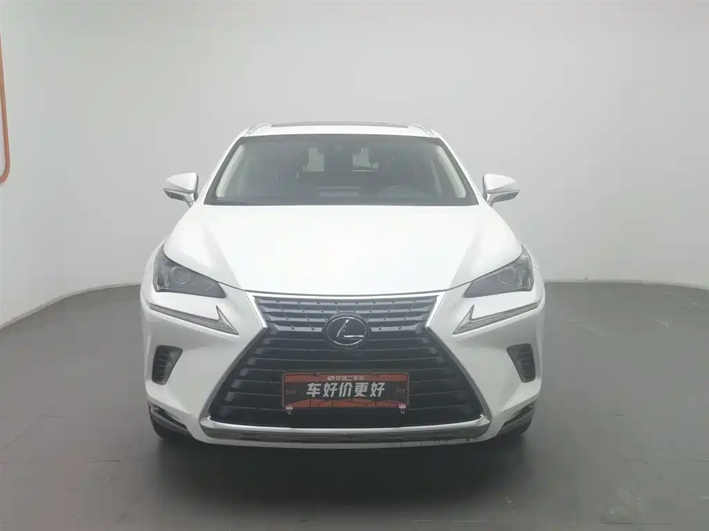 Lexus NX 2018 Model 300h FWD Fengshang Edition China V фото 3
