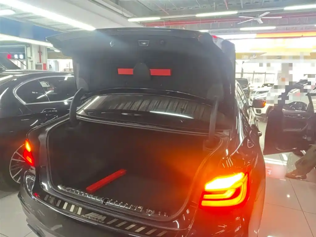 BMW 5 Series 2019 530Li Leading M Sport Package фото 19