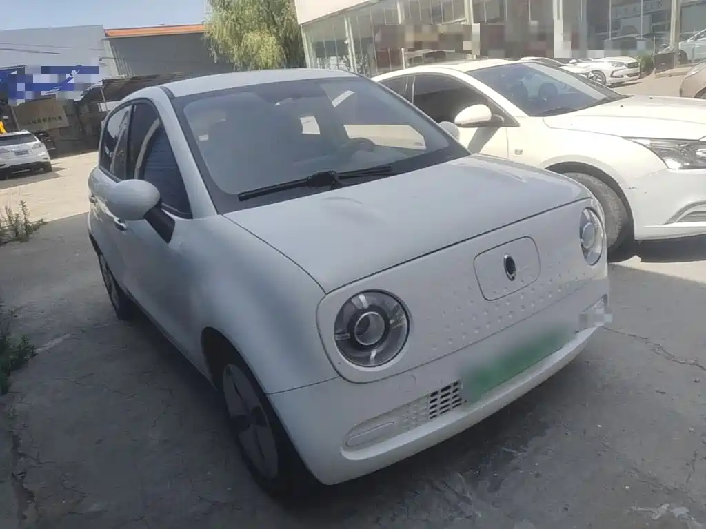 Ora Black Cat 2019 2019 Model 351km Smart Fun Edition