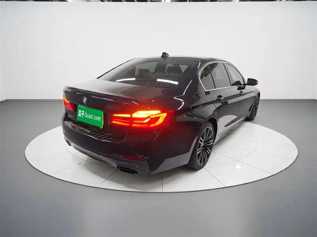 BMW 5 Series 2019 530Li Leading M Sport Package фото 7