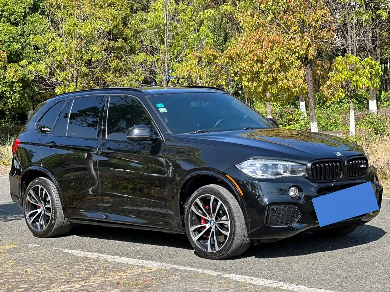 BMW X5 (Import) 2017 xDrive35i Leading Edition фото 3