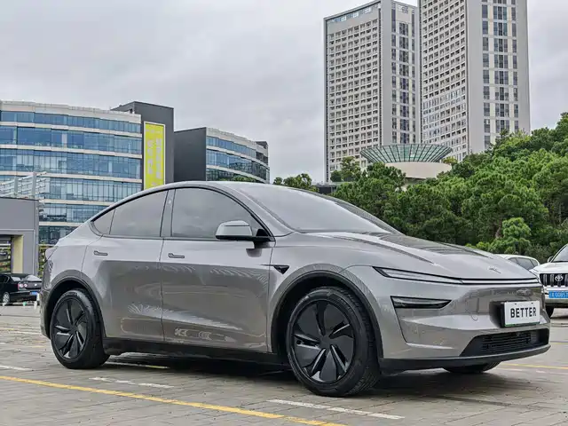 Tesla Model Y 2025 Model Long Range All-Wheel Drive Launch Edition — фото 5