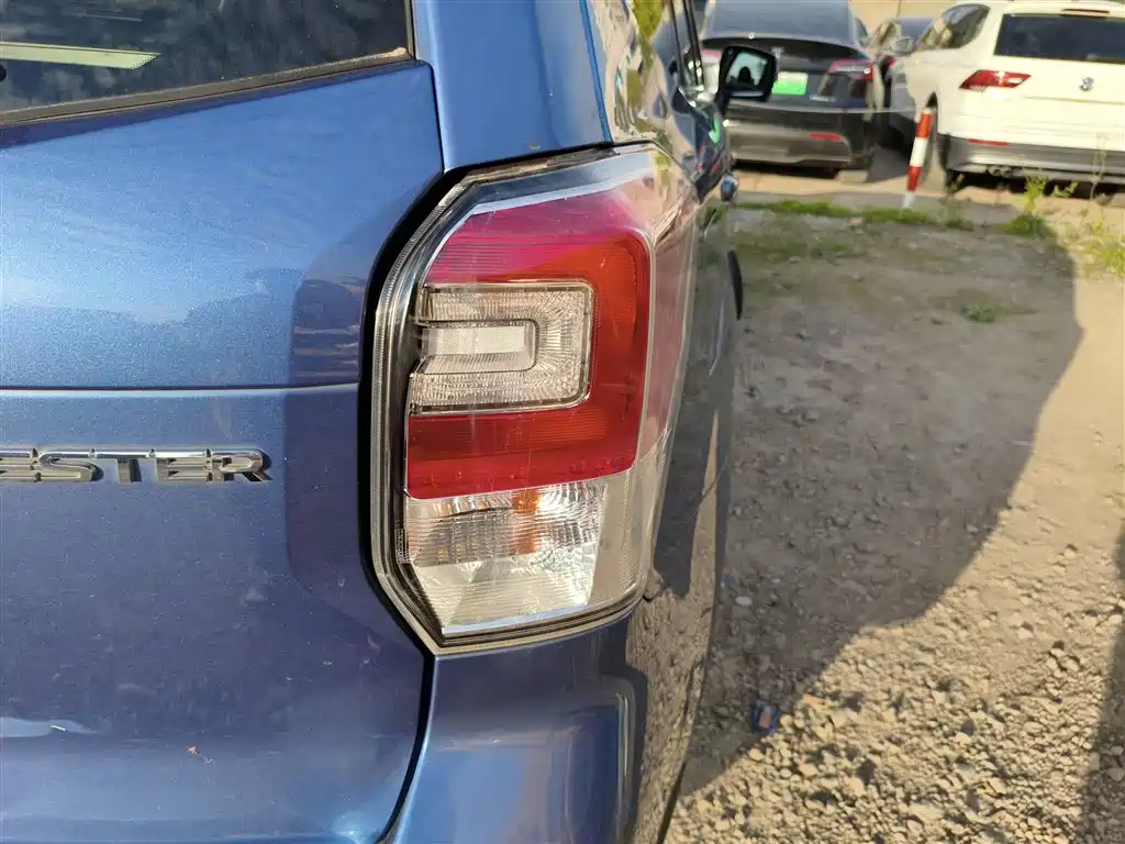 Subaru Forester 2018 2.5i Premium Navigation Edition EyeSight фото 24
