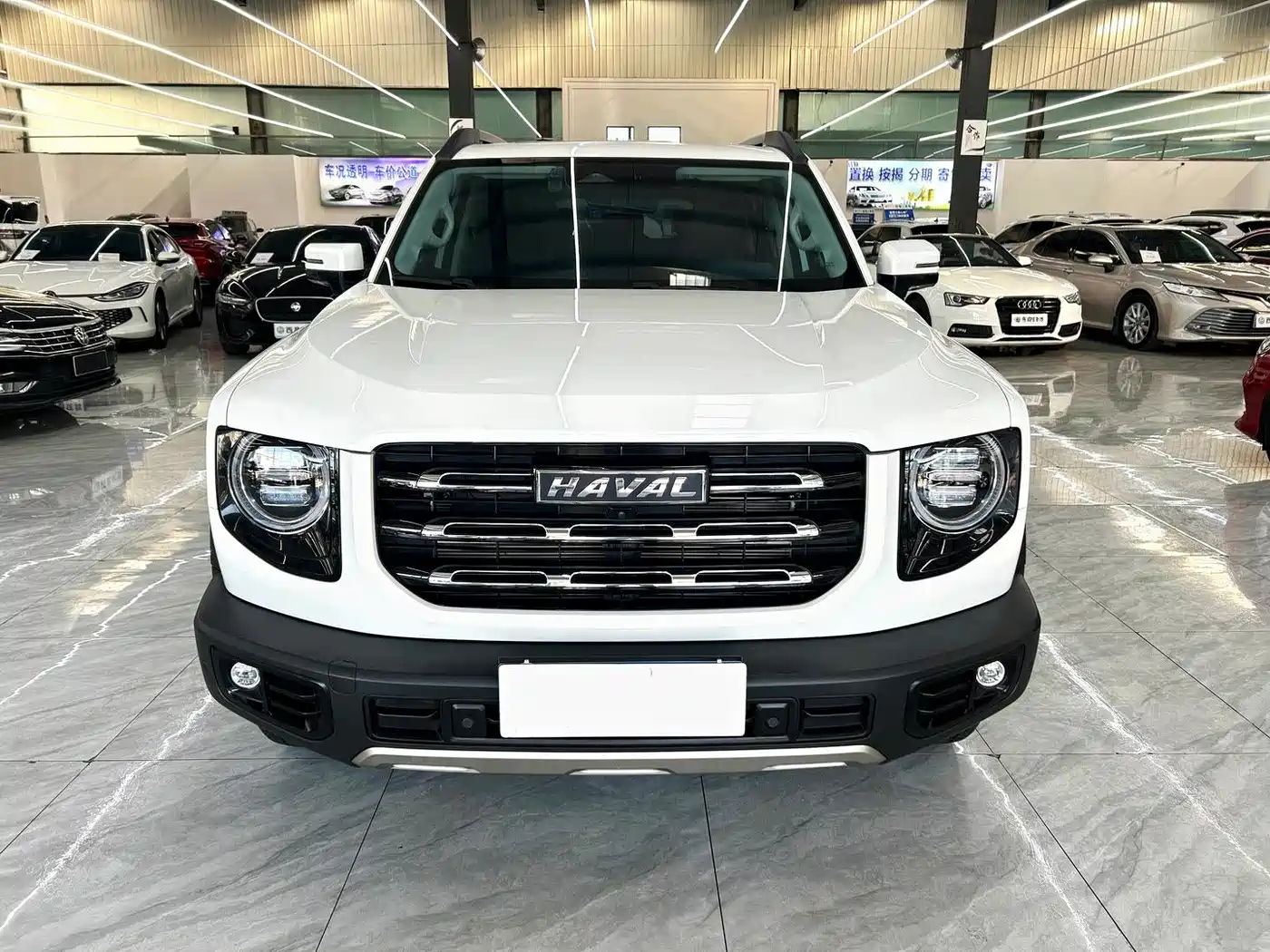 HAVAL BIG DOG