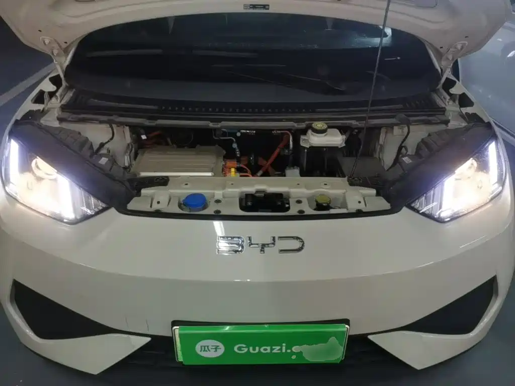 Photo 20 - BYD Seagull