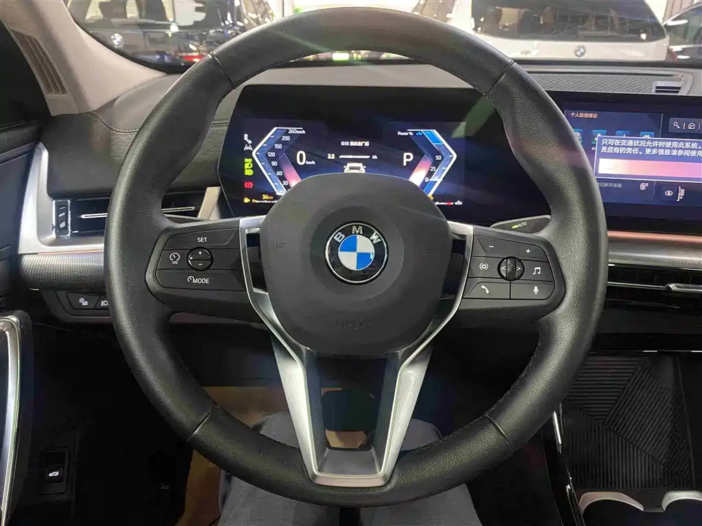 BMW X2 (Import) 2024 sDrive25i M Sport Package фото 15