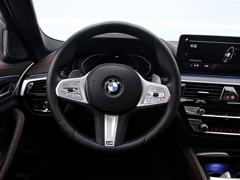 BMW 5 Series 2023 Facelift 530Li Premium M Sport Package фото 7