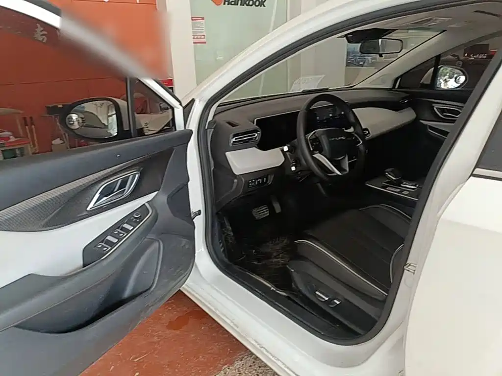 BAIC Beijing EU5 PLUS 2025 2023 R500 Premium Edition