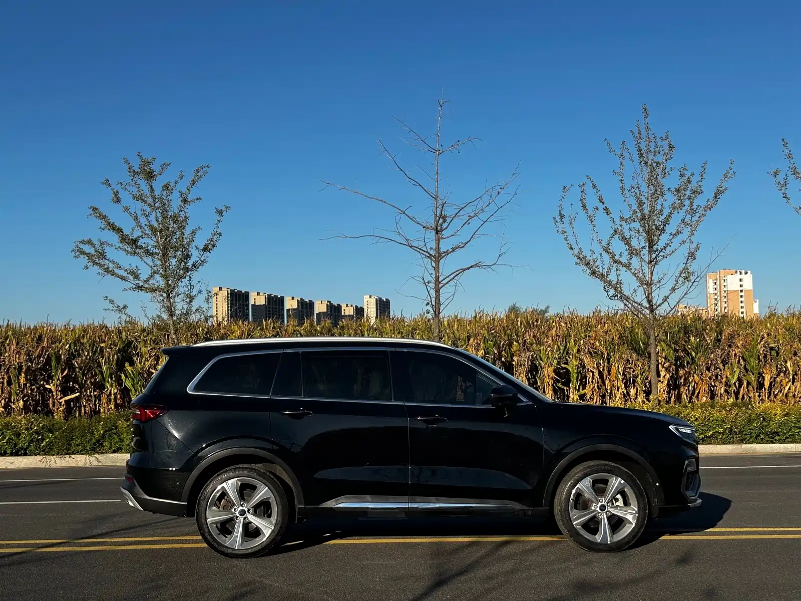 Photo 4 - Ford Territory