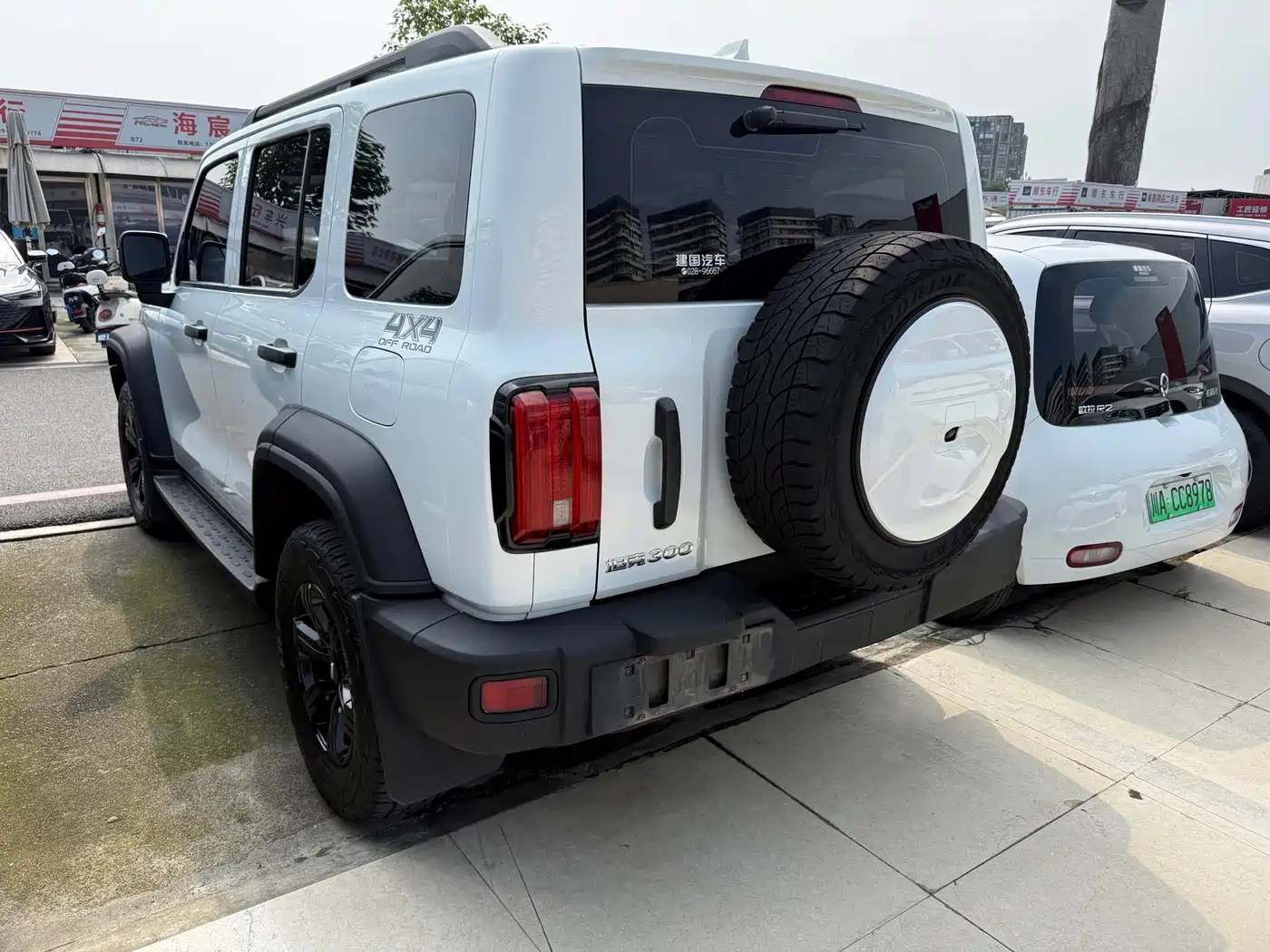 Tank 300 2021 2021 Off-road Version 2.0T Conqueror