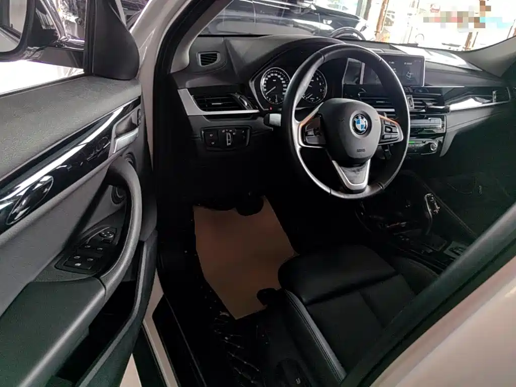 BMW X2 (Import) 2019 2019 sDrive20i M Off-Road Package China VI