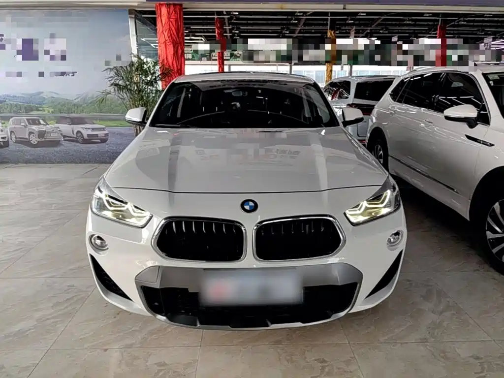 BMW X2 (Import) 2019 2019 sDrive20i M Off-Road Package China VI