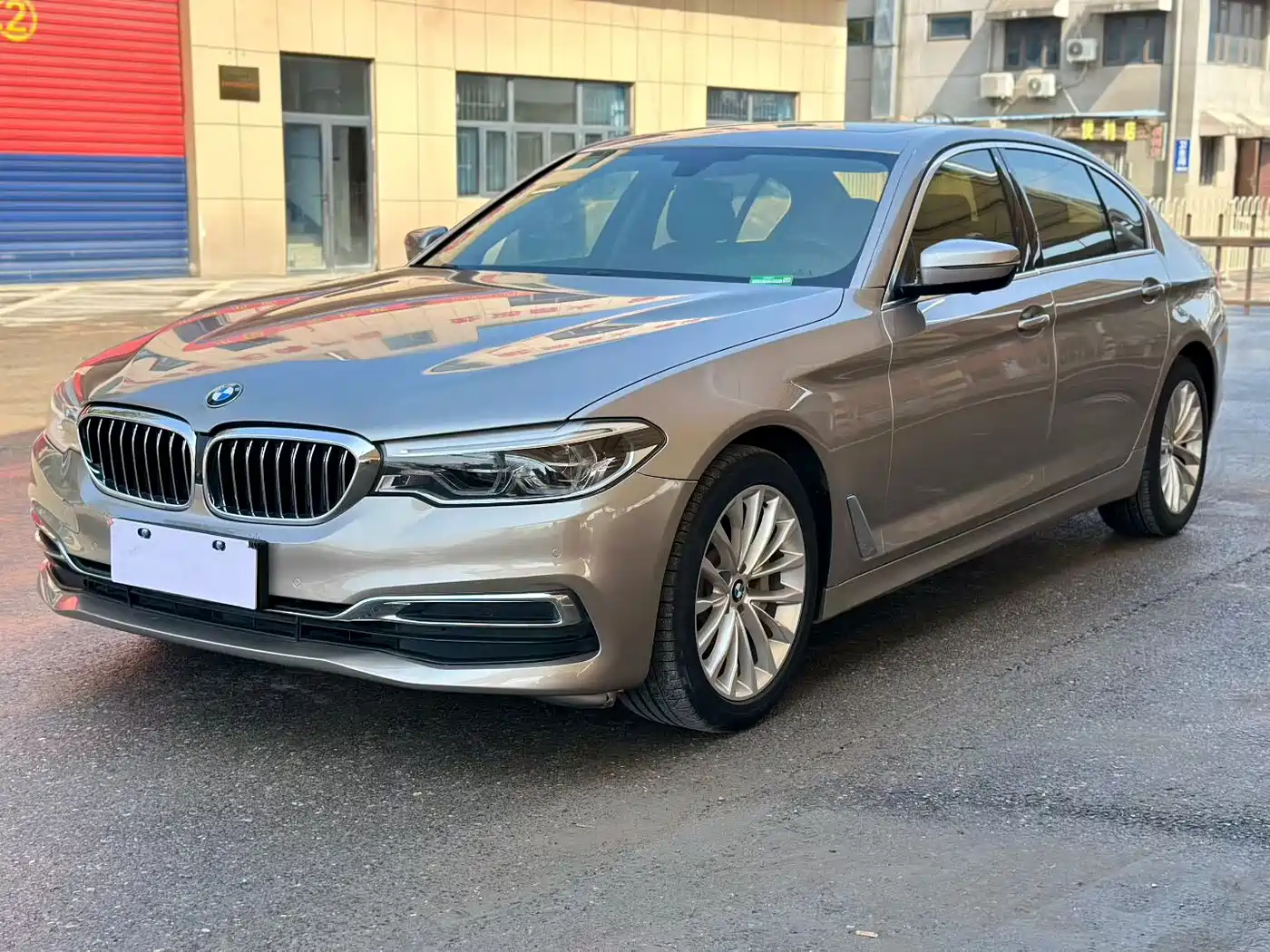 BMW 5 Series 2020 530Li Leading Luxury Package