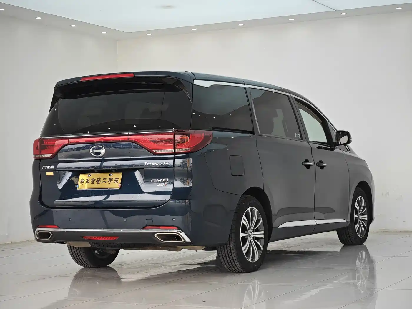 GAC Trumpchi Trumpchi M8 2018 320T Premium Edition фото 4