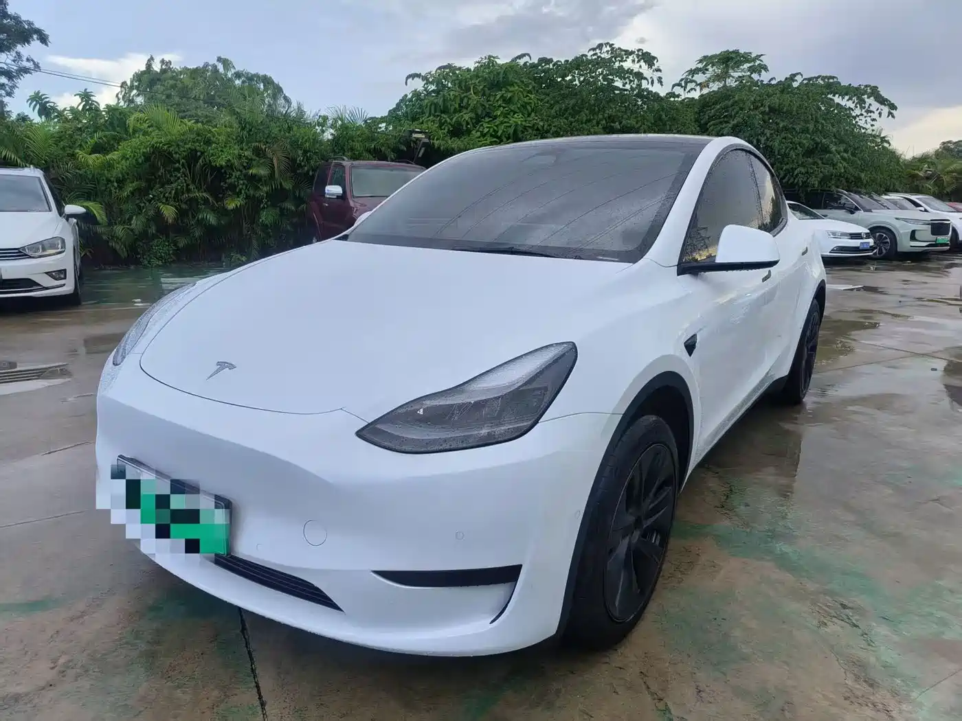 Tesla Model Y 2024 Rear-Wheel Drive Version