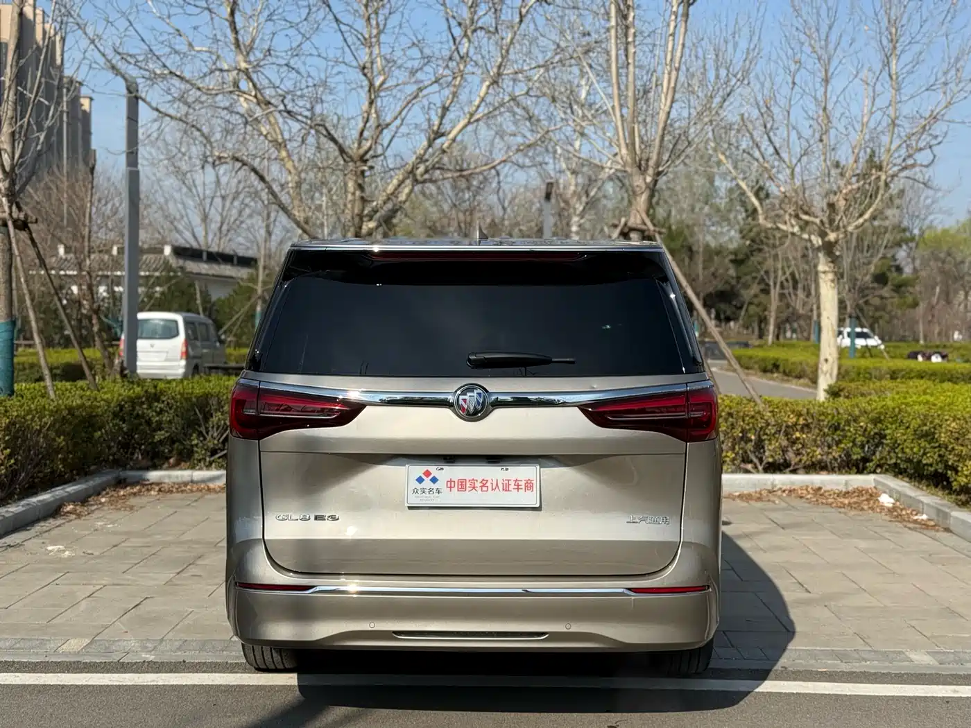 Buick GL8 2023 ES Landmaster Luxury фото 21