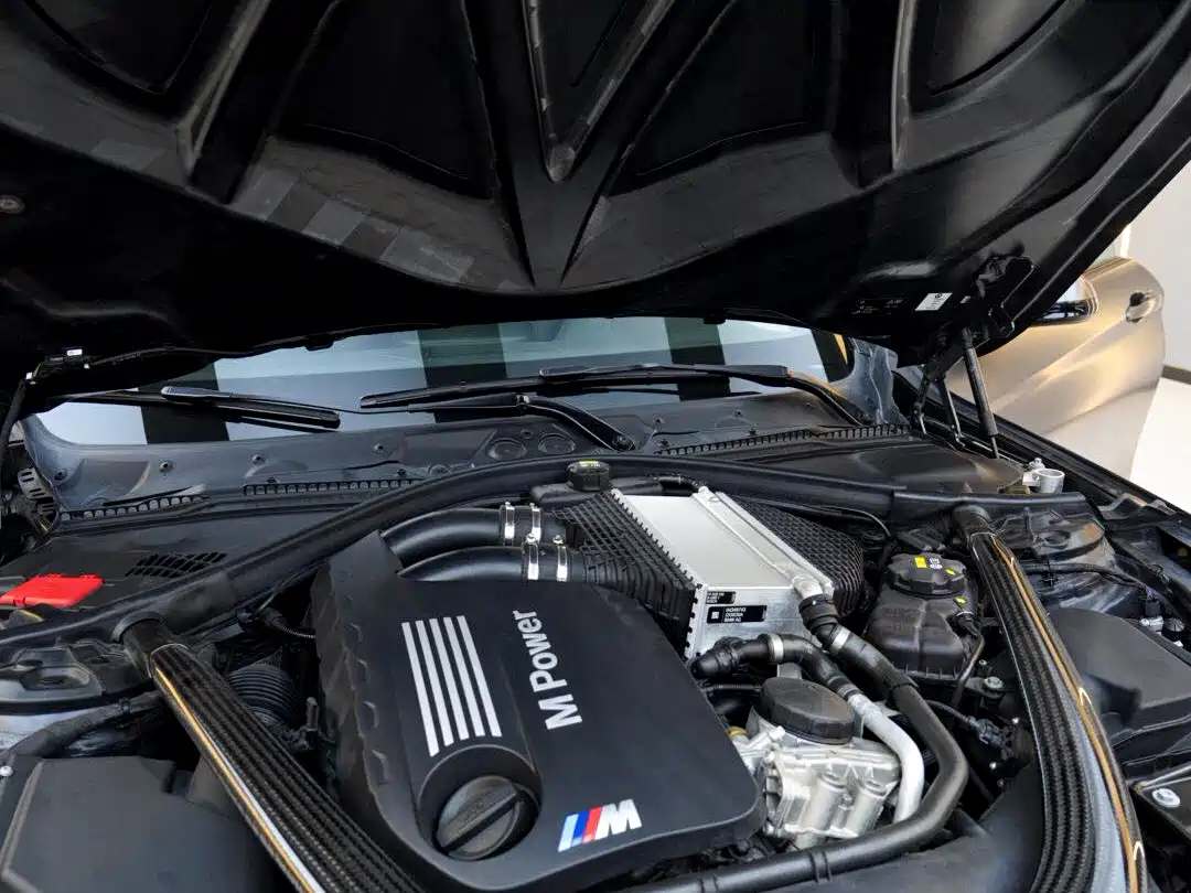 BMW M4 2016 M4 GTS фото 10