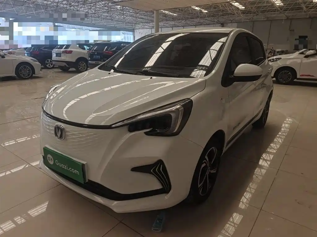 Changan Benben E-Star 2020 Heartbeat Edition (NMC Battery)