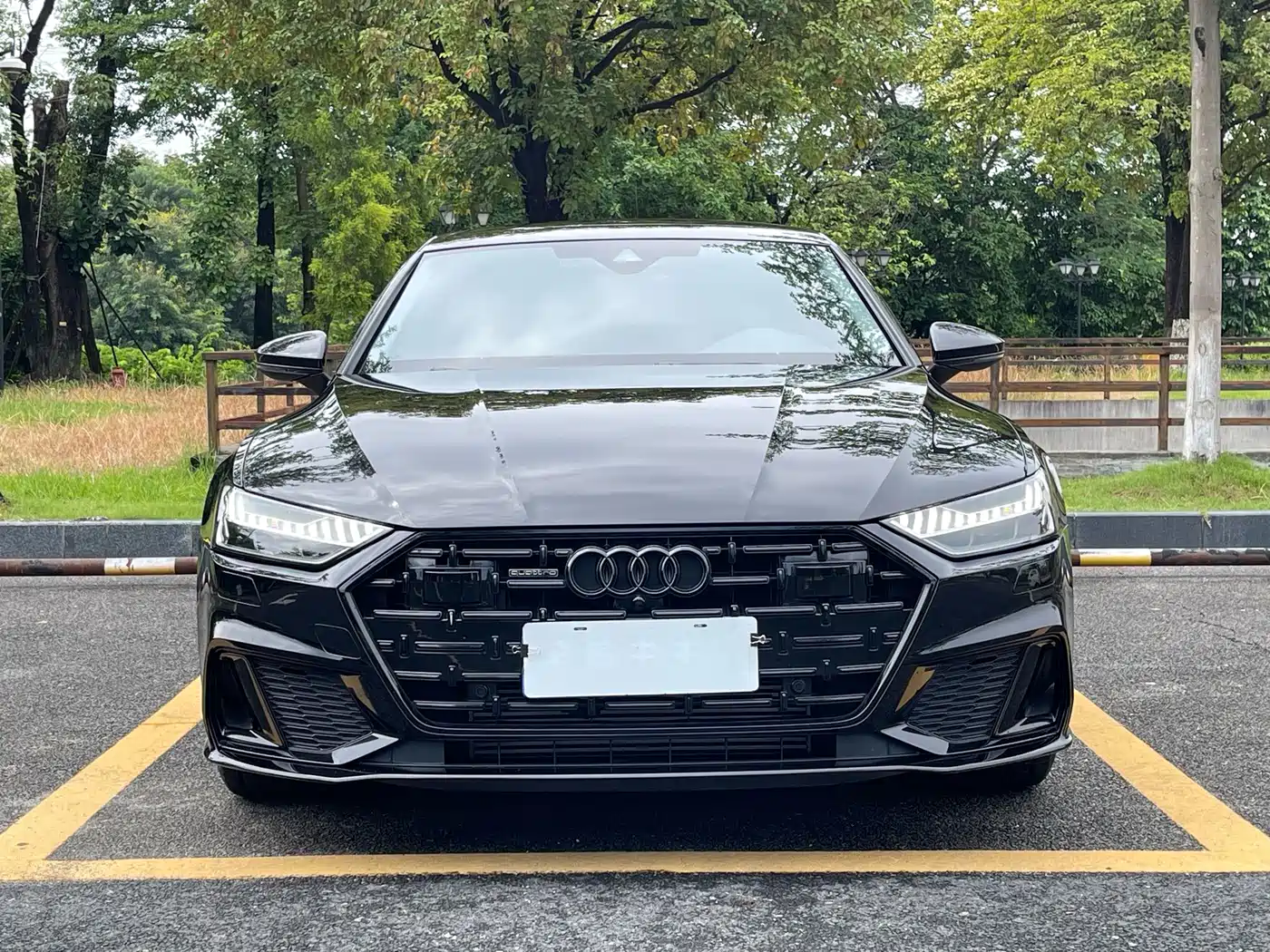 Audi A7L 2025 2024 45 TFSI Luxury