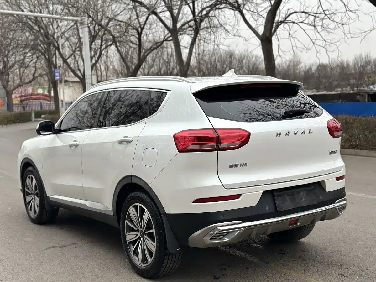 Haval H6 2020 1.5GDIT Automatic Platinum Comfort Edition фото 6