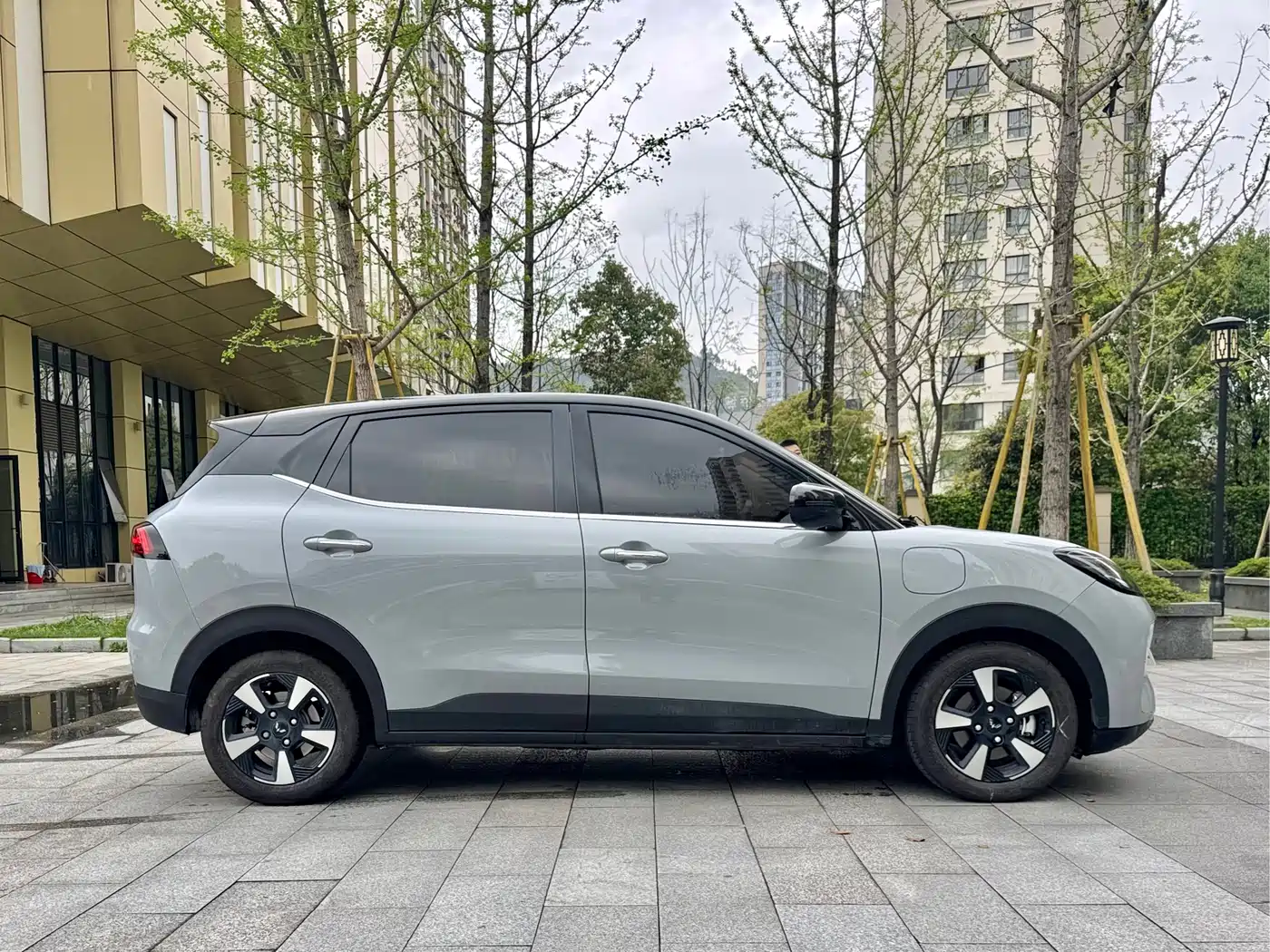 Wuling Motors Wuling Binguo PLUS 2025 2024 Model 330km 5-Seater