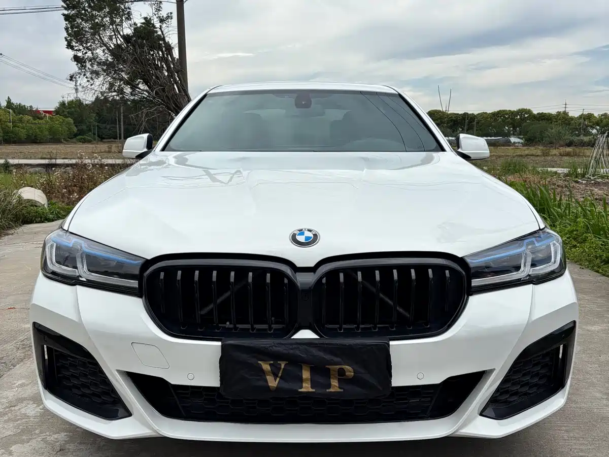 BMW 5 Series 2011 520Li Elegance фото 2