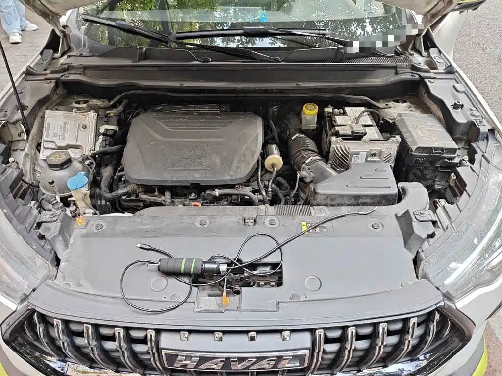 Haval Chitu 2021 2021 Turbo Edition 1.5T Golden Rabbit