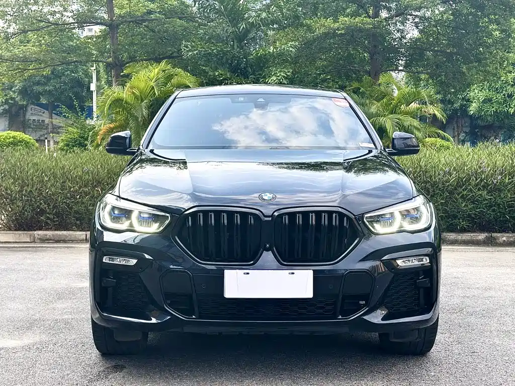 Photo 2 - BMW X6