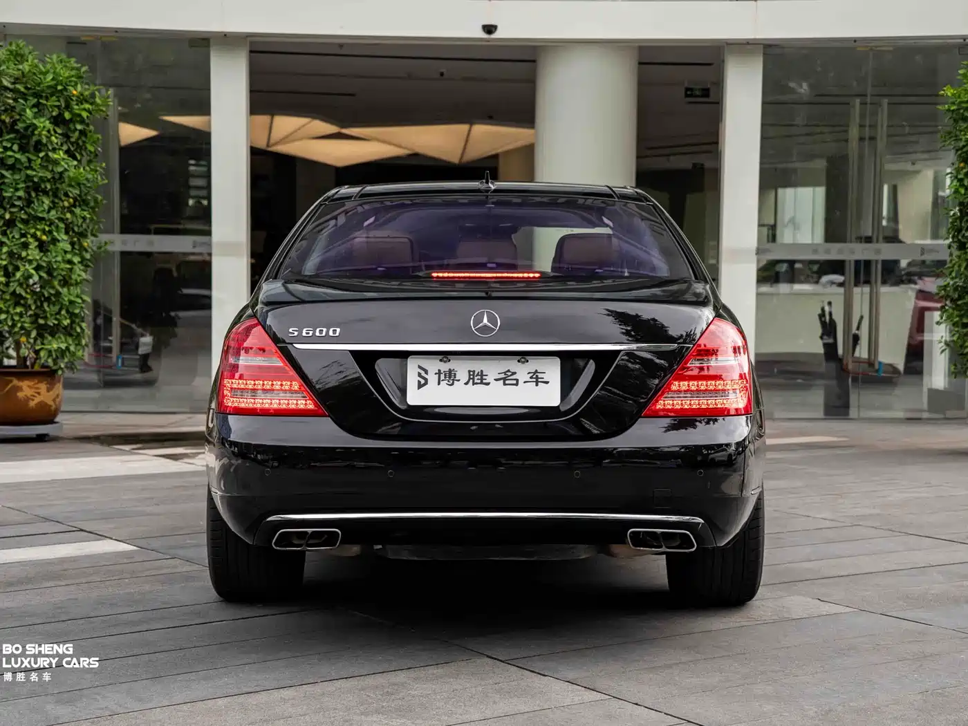 Mercedes-Benz S-Class 2010 S 600 L фото 41