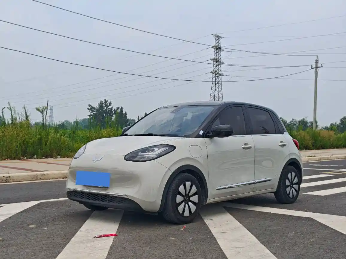 Wuling Motors Wuling Bingo 2023 333km Smart Connectivity Edition