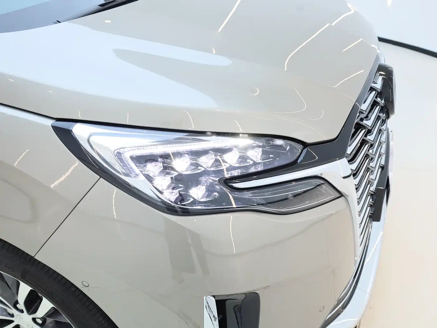Buick GL8 2023 ES Landmaster Exclusive фото 29