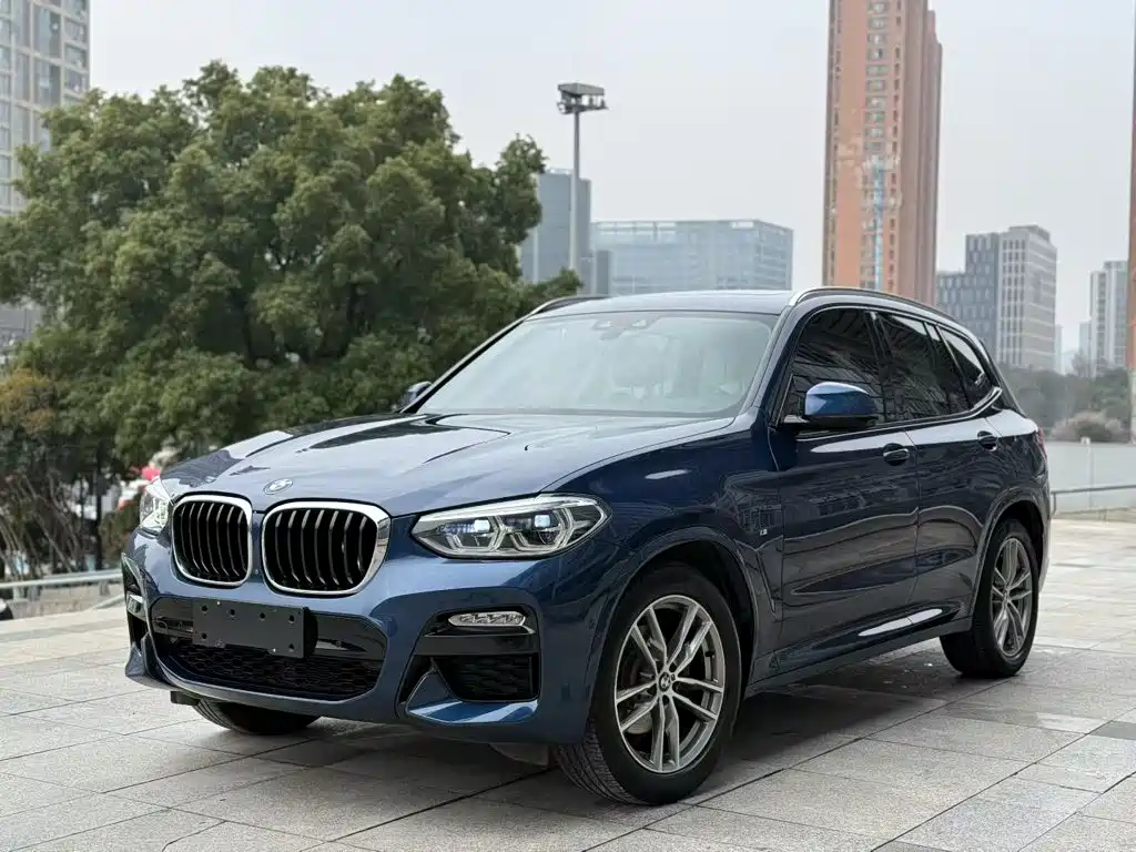 BMW X3 2018 2018 xDrive30i Leading M Sport Package China V