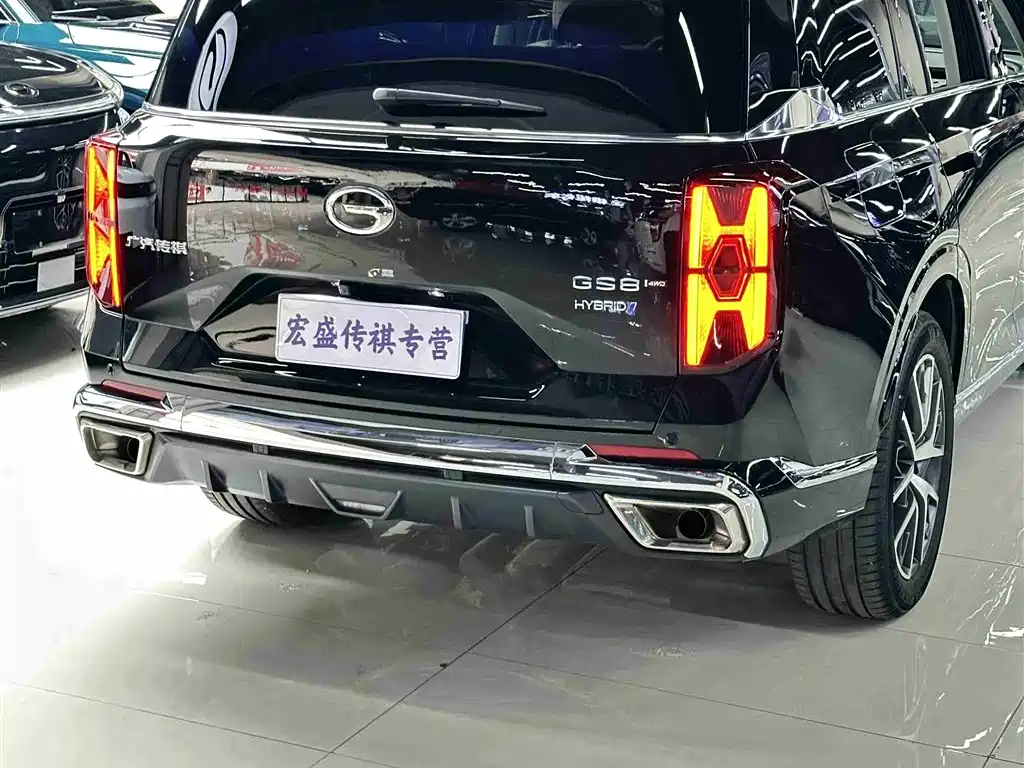 GAC Trumpchi Trumpchi GS8 2022 Hybrid Series 2.0TM 4WD Premium Edition (7-Seater) фото 37