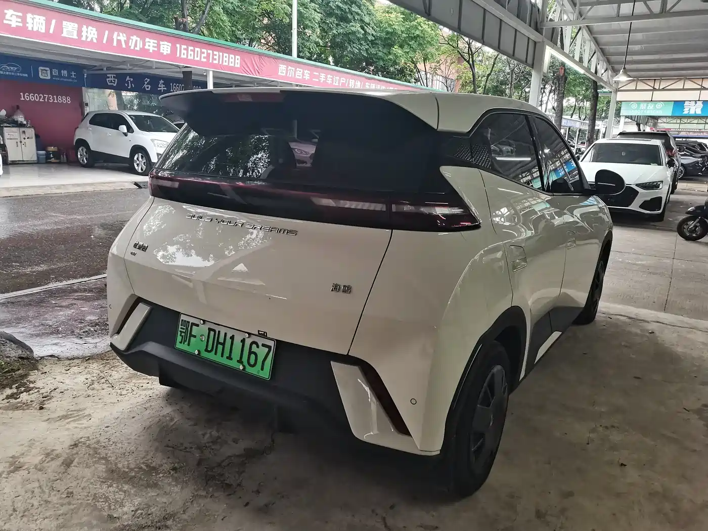 BYD Seagull 2024 Glory Edition 305km Vitality Edition фото 7