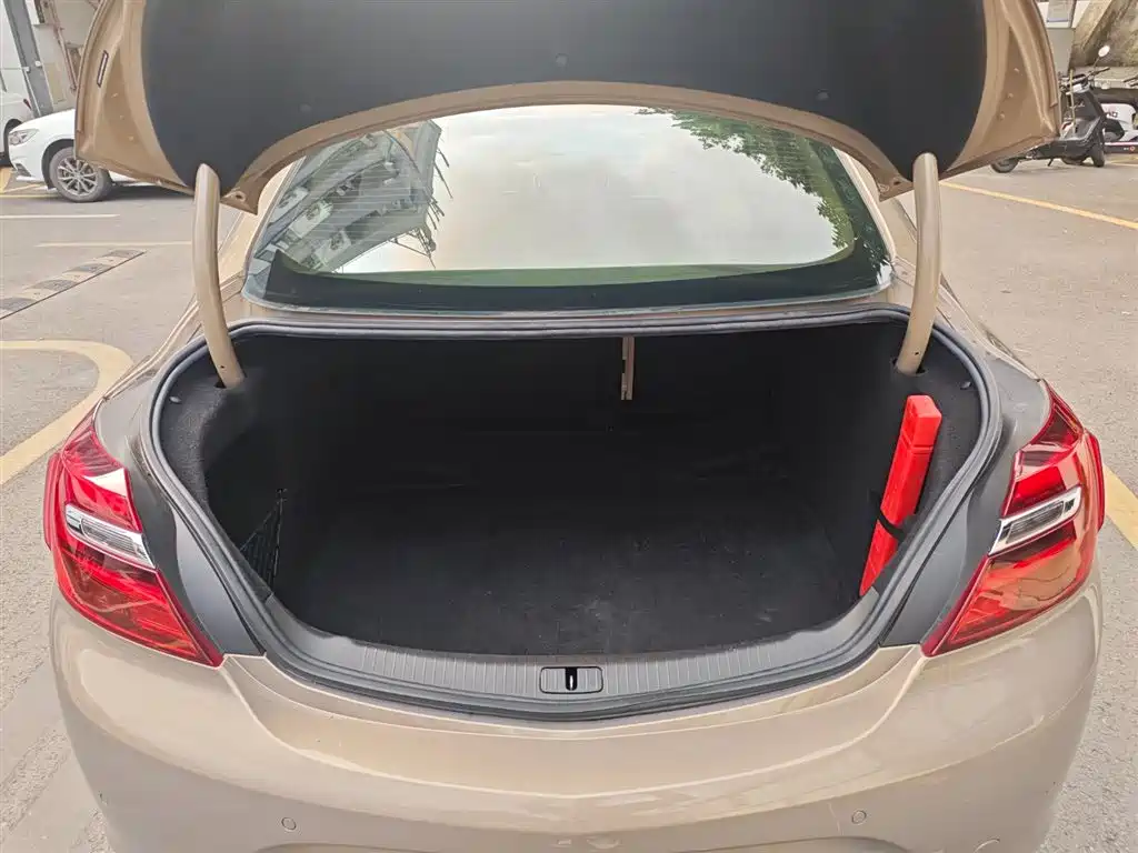 Buick Regal 2014 2.0L Leading Fashion Type фото 15