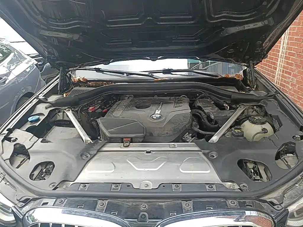 BMW X3 2020 xDrive25i Luxury Package фото 20