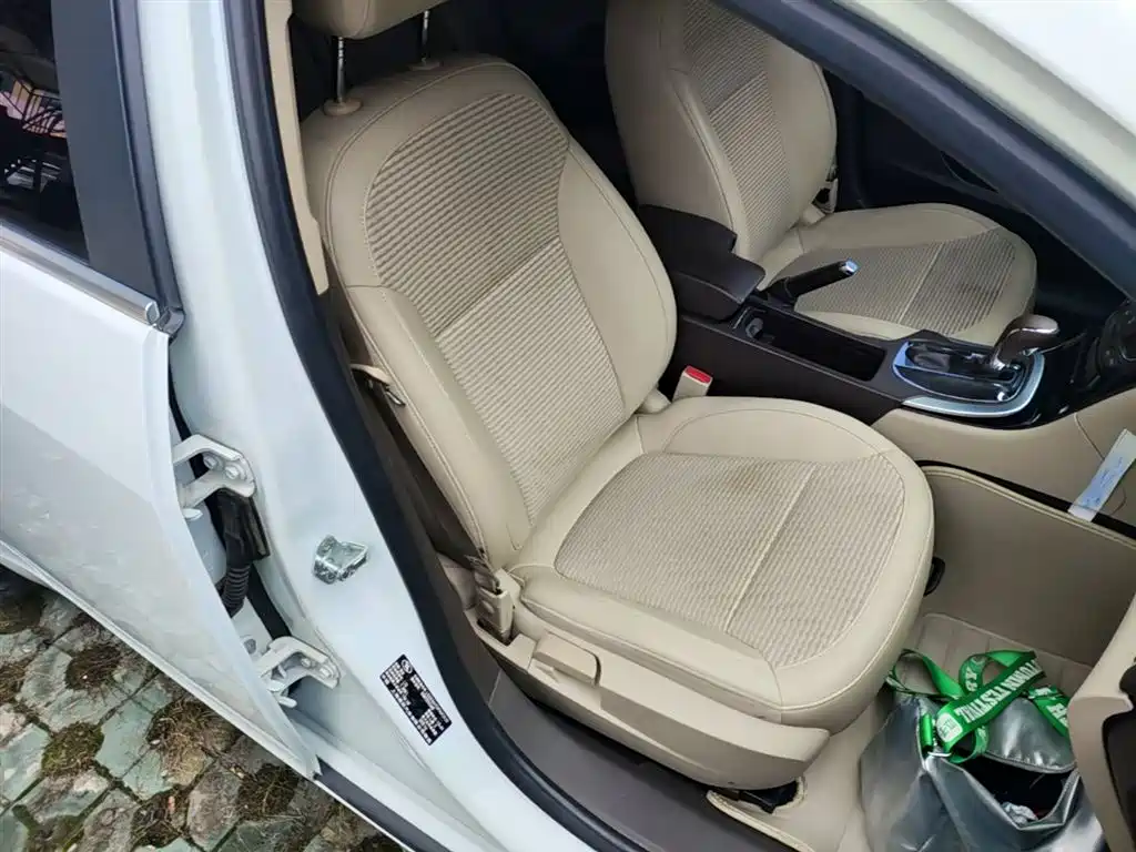 Buick Regal 2014 2.0L Leading Fashion Type фото 25