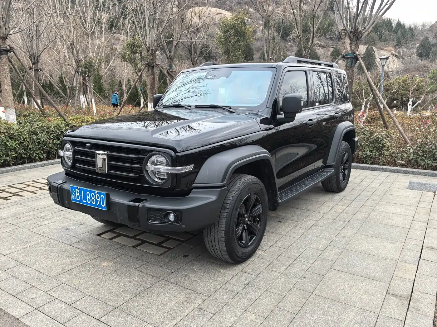 Tank 300 2023 Off-Road Edition 2.0T Conqueror фото 3