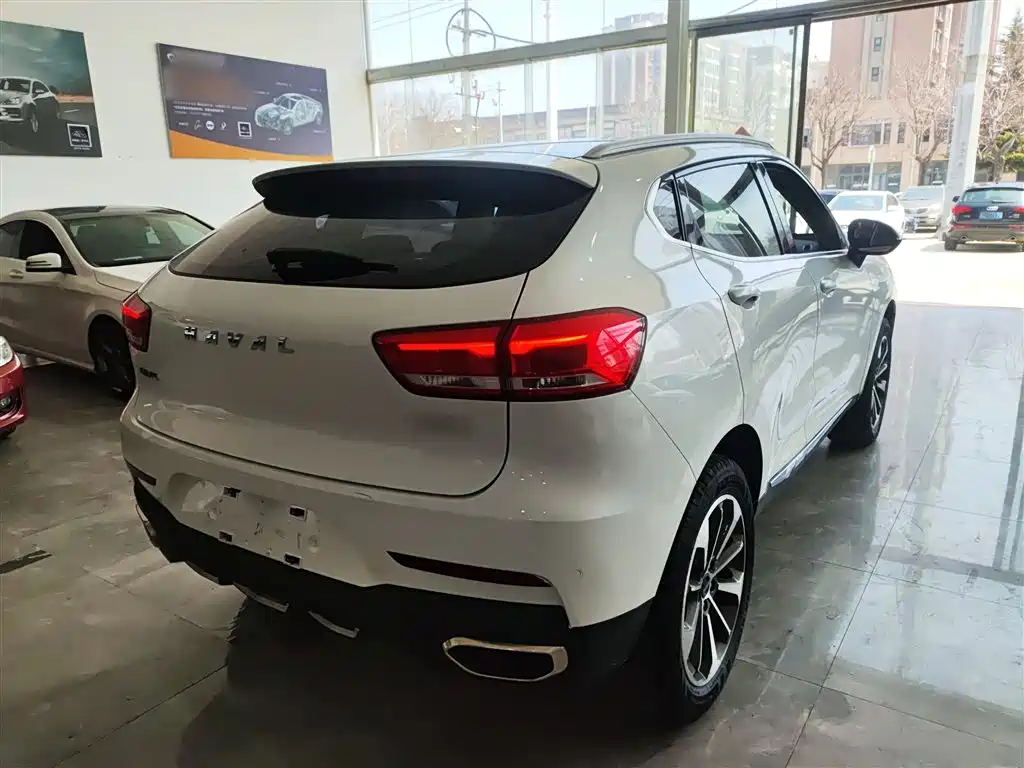 Haval F5 2019 National Trend Edition 1.5T iTrend China VI фото 7