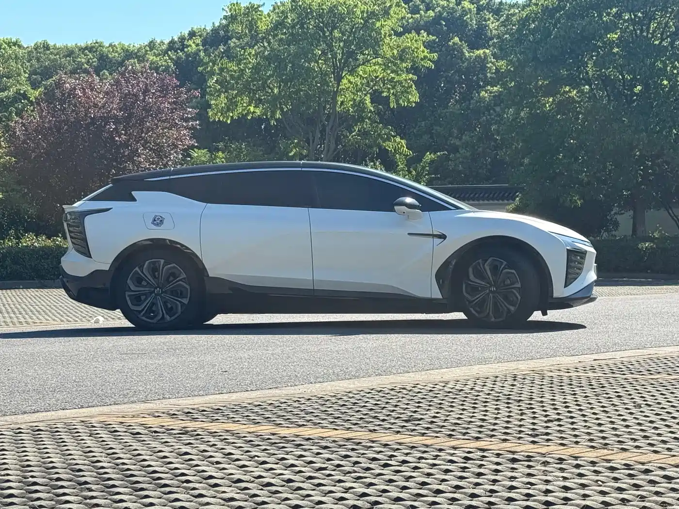 HiPhi X 2022 2021 Flagship Edition 6-Seater