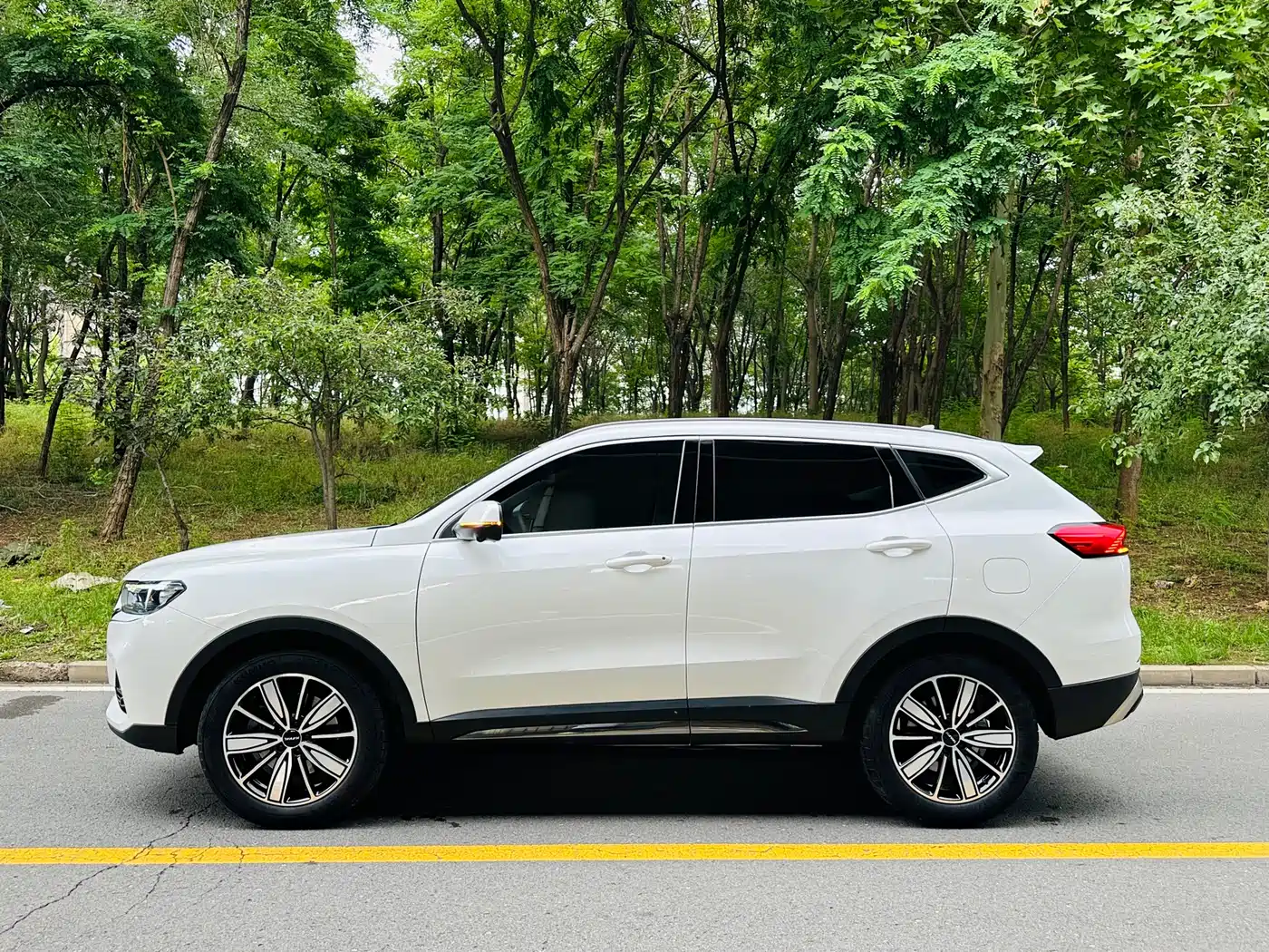 Haval H6 2023 National Trend Edition 1.5T Automatic Champion фото 9