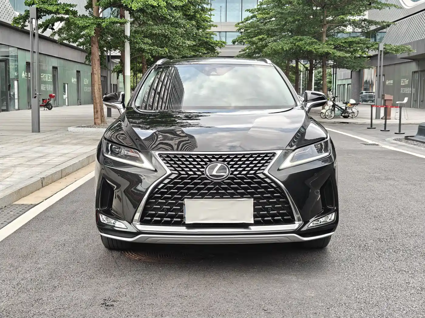 Lexus RX 2020 Facelift 300 2WD Comfort Edition фото 2