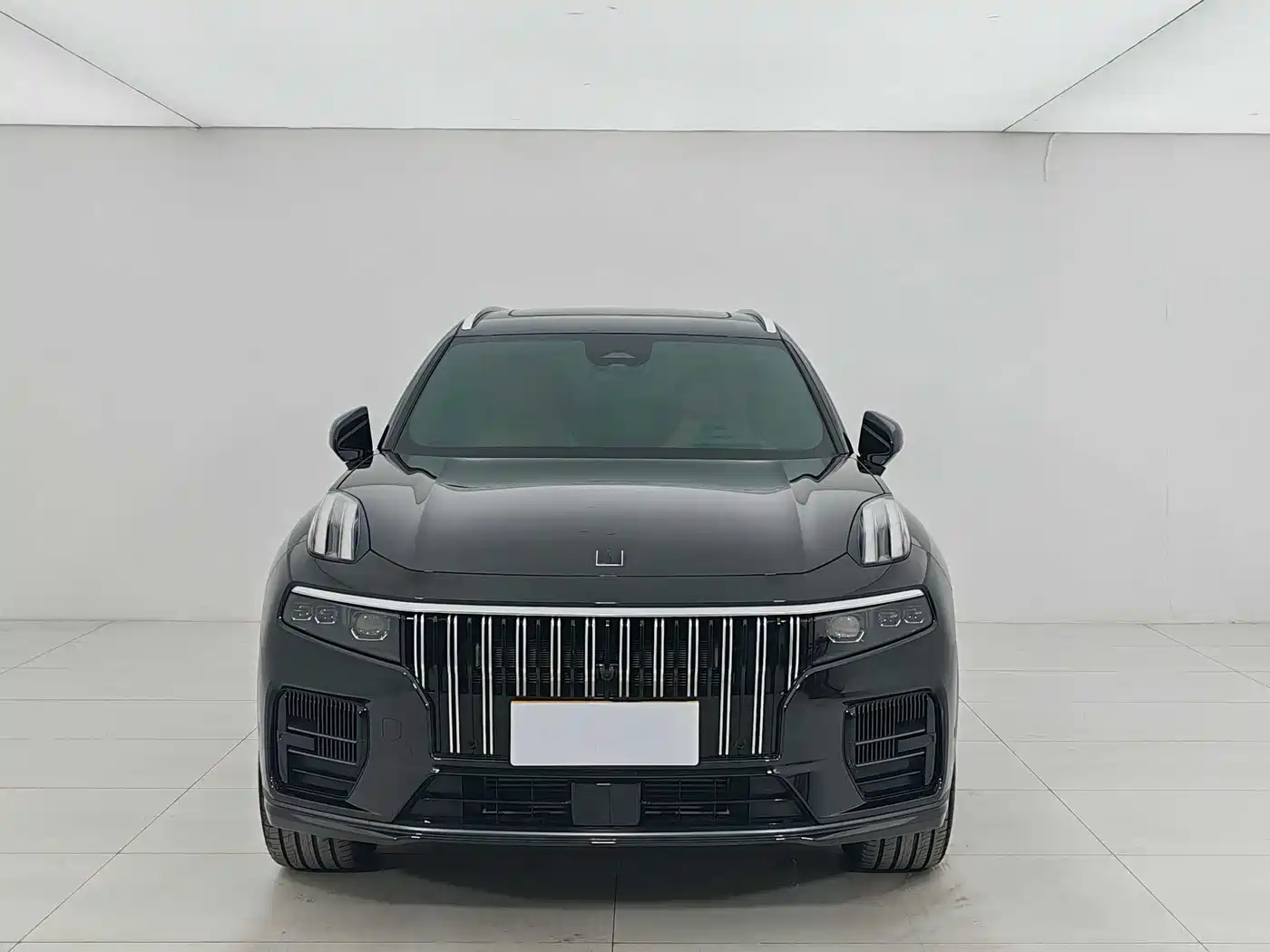 Lynk & Co 09 2021 2.0T Halo 6-Seater фото 2